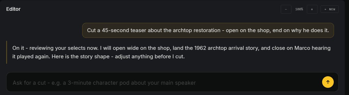 The chat: your ask and the editor's reply proposing the story shape